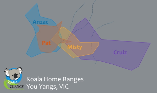 koala home range size and overlap map